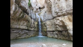 Ein Gedi עֵין גֶּדִיعين جدي‎ an oasis in Israel 1422014 [upl. by Eiramrefinnej394]