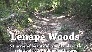 Lenape Woods [upl. by Oremar]