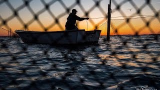 Chesapeake Bay Pound Netting [upl. by Brodie]