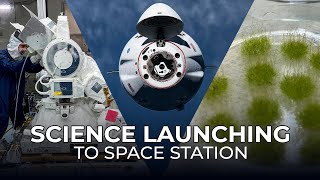 Science Launching on SpaceXs 31st Cargo Resupply Mission to the Space Station [upl. by Nitsud]