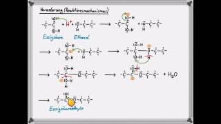 Veresterung Reaktionsmechanismus [upl. by Ayek730]