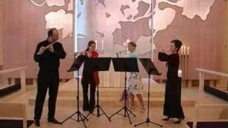 APiazzolla  Los Pajaros Perdidos flute quartet DVarelas [upl. by Zetrom]