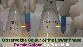 Detection of Adulteration in Milk  Amrita University [upl. by Annnora]