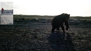 Real Grizzly Bear Encounter Goes Sideways Alaska [upl. by Labors]