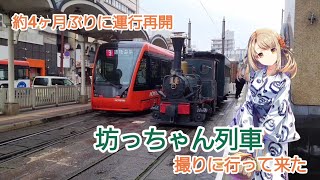 【約4ヶ月ぶりに運行再開】愛好家、坊っちゃん列車撮りに行く。 [upl. by Eekcaj691]