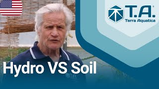 Timelapse experience  Hydropony Vs Soil with William Texier [upl. by Bromleigh]