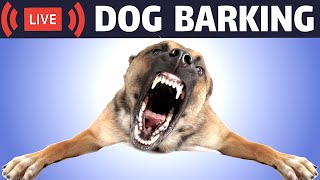 Dog Barking Sound  Dogs Barking Live Bark [upl. by Lupee]