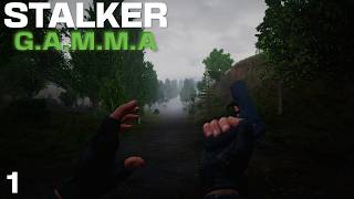 To Humble Beginnings Once Again  STALKER GAMMA S2 ep1 [upl. by Harle]