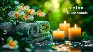 Calming Piano for Sleep 🌿 Healing Piano Spa Music and Nature Sounds to Relieve Stress and Insomnia [upl. by Lansing83]