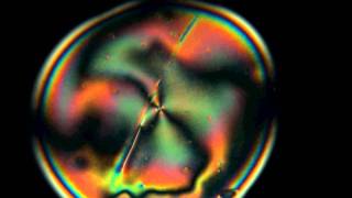 5CB Isotropic to Nematic phase transition [upl. by Miguela]