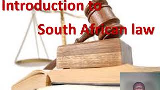 Introduction to South African Law Philani Lithandane Ndlovu [upl. by Rayner104]