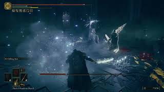 Elden Ring DLC  Count Ymir Mother of Fingers  Boss Fight amp Drops [upl. by Ammej]