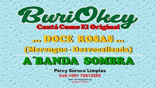 KARAOKE  DOCE ROSAS MERENGUE  ABANDA SOMBRA  BuriOkey [upl. by Davidson44]