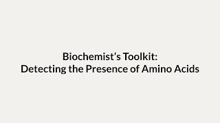 Biochemists Toolkit Detecting the Presence of Amino Acids [upl. by Biernat809]