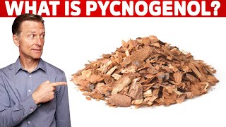 What is Pycnogenol [upl. by Davida]