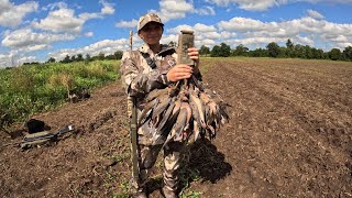 Dove Season Opening Weekend Louisiana 2024 [upl. by Gearhart]