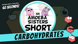 Carbohydrates  Amoeba Sisters Shorts [upl. by Seaton]