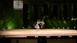 Marina Kudryashova Oleg Rogachev  La Sylphide pas de deux chor A Bournonville Varna IBC 2014 [upl. by Anastasia311]