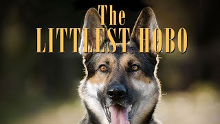 THE LITTLEST HOBO  Maybe Tomorrow By Terry Bush  ITV  CTV [upl. by Ardnuhsal]