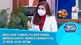 Kenali Penyebab amp Pencegahan Dermatitis Atopik Eksim  AYO SEHAT [upl. by Yeknarf]