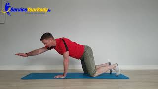 AC Joint Separation Rehab Exercises [upl. by Weyermann]