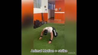 Animal Motion  strike [upl. by Eahsed]