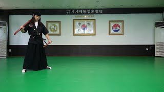 South Korean TraditionalModern Sword Martial Art quotHaedong Gumdo海東劒道quot Personal Training [upl. by Hobbie]