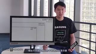 Dasung 25 inch Secondary eInk Monitor First Looks [upl. by Anahahs]