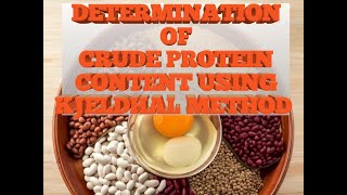 DETERMINATION OF CRUDE PROTEIN CONTENT USING KJELDHAL METHOD [upl. by Drusie]