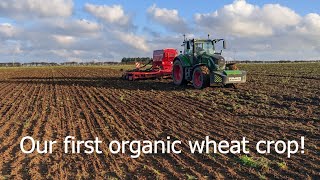 Drilling our first organic wheat crop [upl. by Ruttger262]