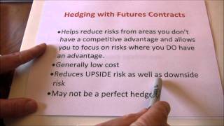 Futures Hedging vs Speculating [upl. by Lathe]