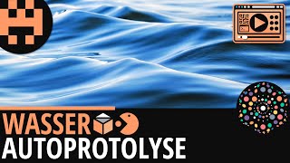 Wasser Autoprotolyse│Chemie Lernvideo Learning Level Up [upl. by Gretta]