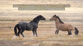 Untamed Majesty  Americas Wild Horses [upl. by Mcnutt]