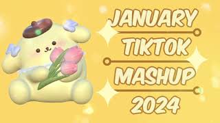 TikTok mashup January 1 2024 [upl. by Erdrich350]