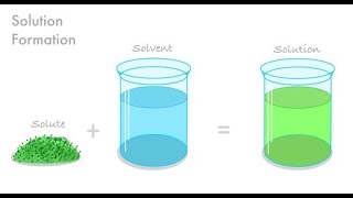 Solute solvent solution solubility IGCSE chemistry [upl. by Atikal]