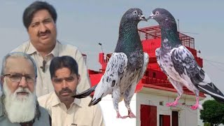 Ustad Mian Faisal of Jalalpur Bhattian ki chat se pigeons shoq [upl. by Chelsea]