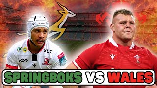 South Africa vs Wales  REVIEW [upl. by Newo646]