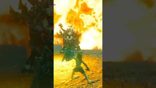 Link parries Lynel’s special move zelda totk tearsofthekingdom nintendo shorts [upl. by Urbano]