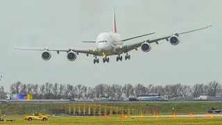 STORM EUNICE  CROSSWIND LANDINGS at Amsterdam Schiphol  AIRBUS A380 B767 GO AROUND  4K [upl. by Wons]