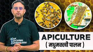 Apiculture  Honeybee Farming  Bee Keeping [upl. by Anaeg]