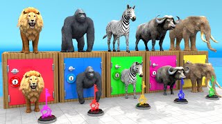 Mammoth Elephant Lion Gorilla Buffalo Guess The Right Key ESCAPE ROOM CHALLENGE Animals Cage Game [upl. by Frissell70]