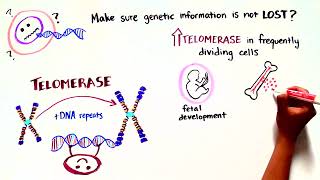 Team Telomere Telomere Biology Disorders [upl. by Adyaj345]