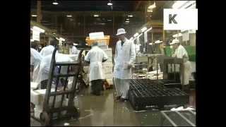 Mid 1990s Billingsgate Fish Market London Archive Footage [upl. by Bigot910]