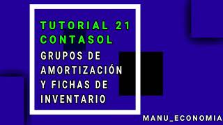 Contasol 21 Crear grupos de amortización y fichas de inventario [upl. by Gaelan]