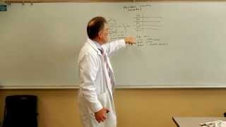 Pharmacy Calculations for Technicians  Powder Volume Problems [upl. by Howarth170]