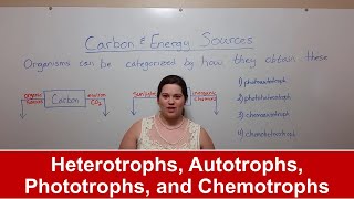 Heterotrophs Autotrophs Phototrophs and Chemotrophs [upl. by Slayton]