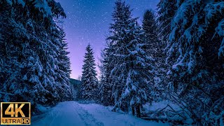 Winter Wonderland 4K  Scenic Relaxation Film with Calming Music [upl. by Dulla]