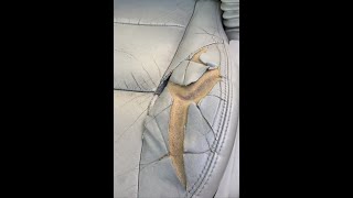 DIY  leather car seat repair pt 1 [upl. by Oralle]