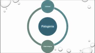 Gnathostoma spinigerum  GnathostomiasisGnatostomiasis [upl. by Nnylirehs]