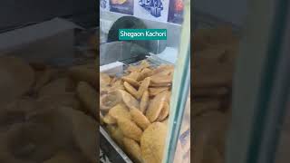 Shegaon Kachori shegaonmandir kachori food [upl. by Mannie]